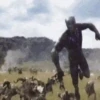 Black Panther 8