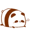Pandita 12