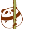 Pandita 14