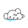 ️Pum perrito  MOV 9