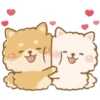 Perritos peluditos 12