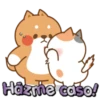furiosos mov 11