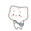 ️Gato bonito  MOV 10
