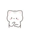 ️Gato bonito  MOV 12
