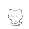 ️Gato bonito  MOV 13