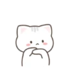 ️Gato bonito  MOV 14