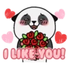 Lee Panda 10
