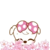 ️ Pink cute dog    MOV 12