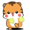 Lovely tiger .MOV 11