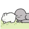 Rabbit Kedamachan Mov. 12
