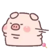 Cuchi pig MOV 20