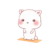 Amor de gatitos mov 11