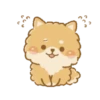 Perritos peluditos 15