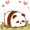 Pandita 21