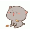MOCHIS CAT Extra"J" MOV 16