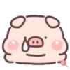 Cuchi pig MOV 22