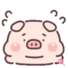 Cuchi pig MOV 23