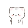 ️Gato bonito  MOV 18