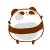 Pandita 23