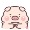 Cuchi pig MOV 25