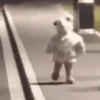 Bebés Cute ️ 21