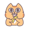Friends Cats   Mov 18