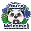 Lee Panda 23
