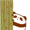 Pandita 28
