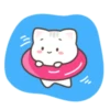 ️Gato bonito  MOV 21