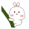 FaT BuNnY   (Mov) 13