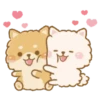 Perritos peluditos 23