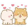 Perritos peluditos 24