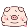 Cuchi pig MOV 27