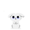Rabbit cute 1 27