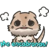 furiosos mov 30