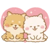 Perritos peluditos 27