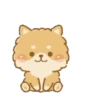 Perritos peluditos 28