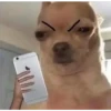 ︎( ͠° ͟ʖ ͡°)peleas(❍ᴥ❍ʋ 27