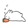 Rabbit Kedamachan Mov. 29