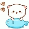 Peach cat 6