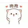 Peach cat 7