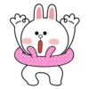 Brown and Cony 3 5