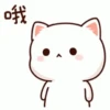 Peach cat 8