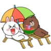 Brown and Cony 3 7