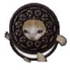Divertidos 5