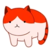 轉轉貓 7