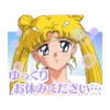 Pretty Guardian Sailor Moon (Animated) 5