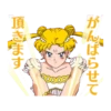Pretty Guardian Sailor Moon (Animated) 6