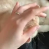 Cute Kitty pack 8