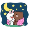 Brown and Cony 9